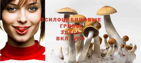 марки lsd Краснотурьинск