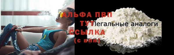 стафф Яранск