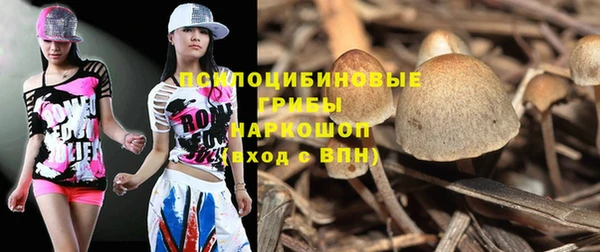 спиды Янаул