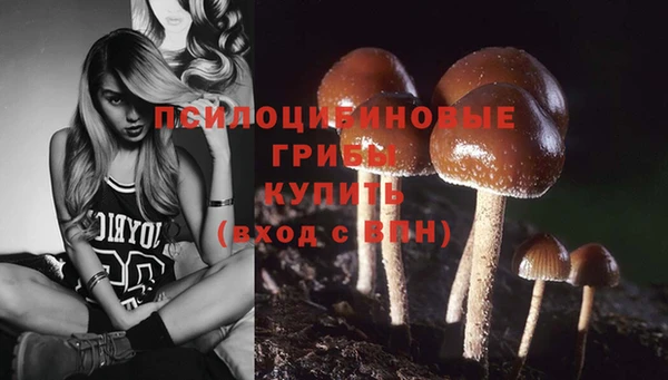 ГАЛЛЮЦИНОГЕННЫЕ ГРИБЫ Краснослободск