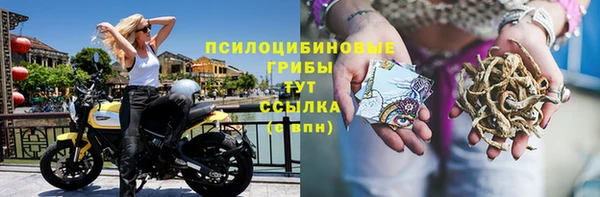 МДПВ Яровое